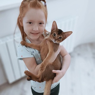Аватар Telegram-канала Абиссинская мама