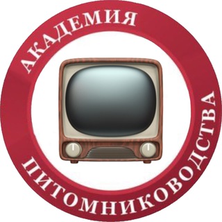 Аватар Telegram-канала Лекции