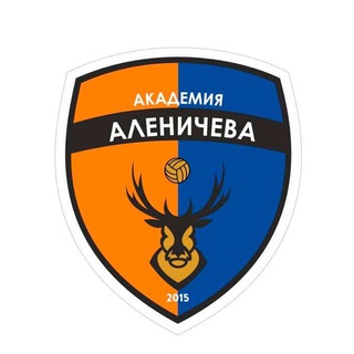 Аватар Академия Аленичева