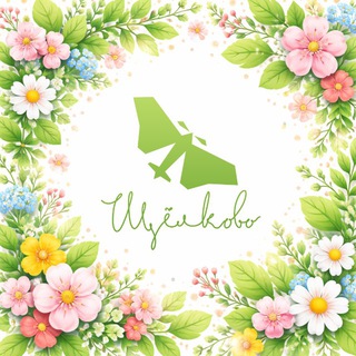 Аватар Telegram-канала Администрация г.о. ЩёлкоVо 🇷🇺