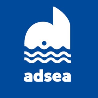 Аватар 🐳 Adsea.ru | Море трафика