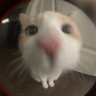 Аватар Telegram-канала Взрослый юмор