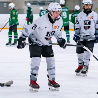 Аватар Telegram-канала Мать, это Тобольский хоккей😏🏒