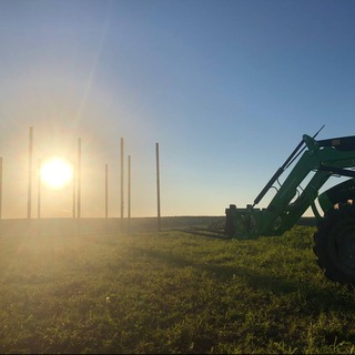 Аватар Telegram-канала АгроБизнес. Сельхозпроизводство. Россия.