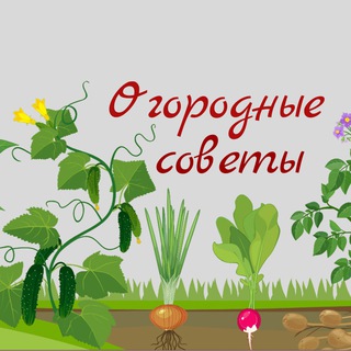 Аватар Огородные советы