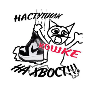 Аватар Telegram-канала музыкальный коллектив «наступили кошке на хвост» ☺️