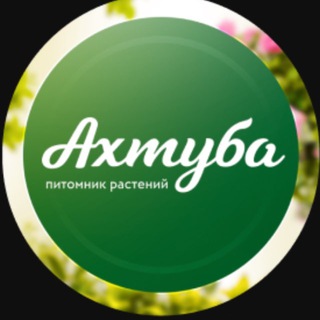 Аватар АХТУБА Садовый центр | Волжский