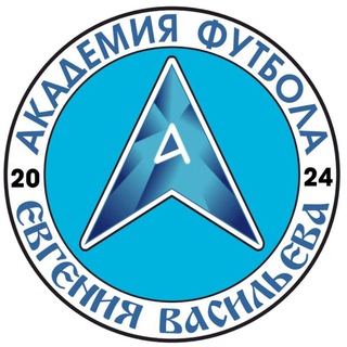 Аватар Академия детского футбола Е. Васильева| Томилино