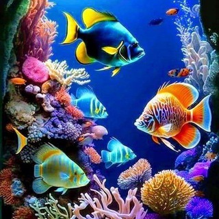 Аватар Telegram-канала 🐟Аквариумные рыбки🐠