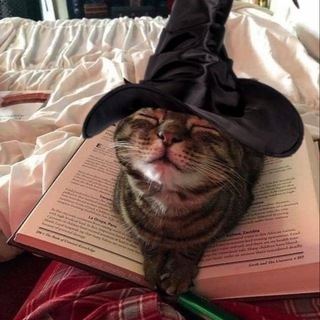 Аватар Telegram-канала акунота таро🎃