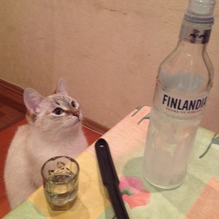 Аватар алкоголь после спорта #ВЕРНИТЕРОБЛОКС