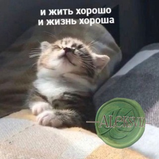Аватар Telegram-канала Анкеты и знакомства! —AleksViz—
