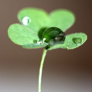 Аватар ПРО ЖИЗНЬ | ЗДОРОВЬЕ | РЕМОНТ | ТРЕНИРОВКИ