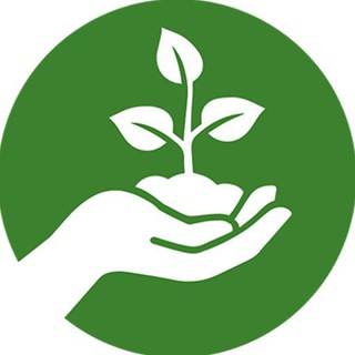 Аватар Telegram-канала ЖК Тринити ОЗЕЛЕНЕНИЕ 🌱🌱