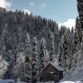 Аватар Telegram-канала Недвижимость Красная Поляна AlpineRealty
