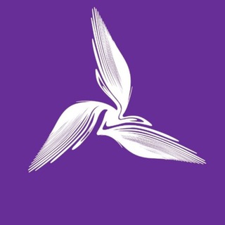 Аватар Telegram-канала Бизнес-школа АМИ┃Executive MBA