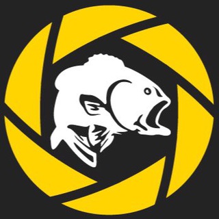 Аватар Telegram-канала Anglers Zoom | Рыбалка крупным планом