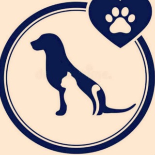 Аватар Telegram-канала Приют для животных (временного и постоянного содержания) МУП «ДСУ»