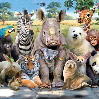 Аватар Telegram-канала Спасение животных попавших в беду