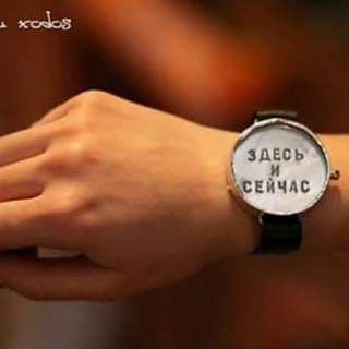 Аватар Станция скорой помощи для бездомных животных(ССП) «Антидогхантер Пермь»