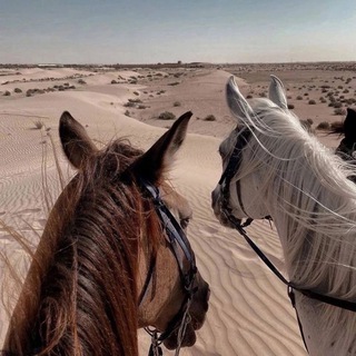 Аватар арабские цитаты))