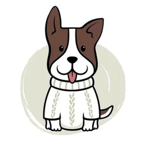 Аватар 🐶 ArnyDog | Одежда и аксессуары для собак 🐾