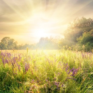 Аватар Telegram-канала Интересности Протвино и Тарусы