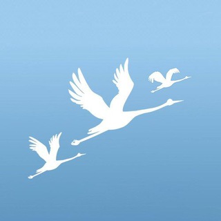 Аватар Telegram-канала Красногорская ДХШ