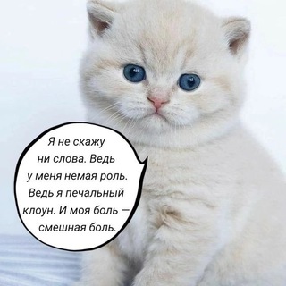 Аватар психиатрическая экспертиза златы покрышкиной