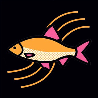 Аватар Telegram-канала Астрахань (from news media) все новости из СМИ, ЧП