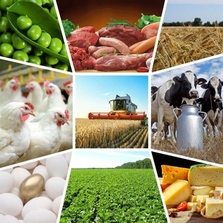 Аватар Telegram-канала Аграрно-технологический институт