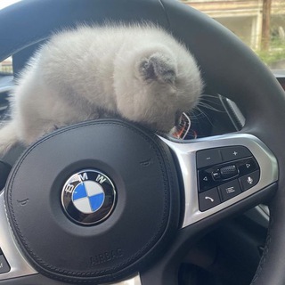 Аватар Автомобили | Обои | Видео | Авы | ЭДИТЫ |BMW | БМВ | МЕРС | АВЫ С АВТО | ЭДИТЫ | EDITS | AUTOMANIA | MERCEDES | CAR EDITS