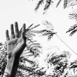 Аватар Telegram-канала Аутентичное Общение