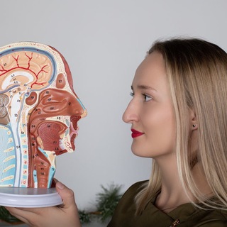 Аватар AVESSTUDY|Кинезиотерапия|Реабилитация| Для специалистов| Для тела| Для жизни| Обучение