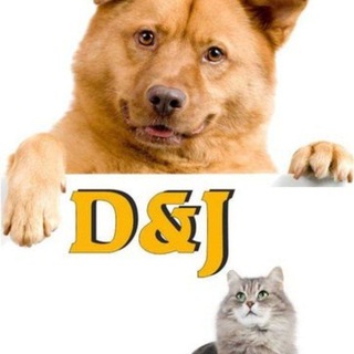 Аватар Telegram-канала Автогамаки и лежаки