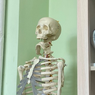 Аватар Telegram-канала Хотели стать посмешищем, а стали медиками💪🏻