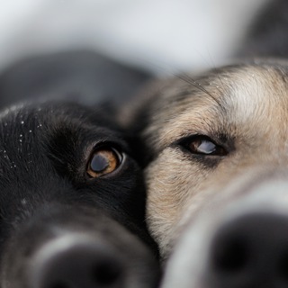 Аватар Telegram-канала Вредные привычки