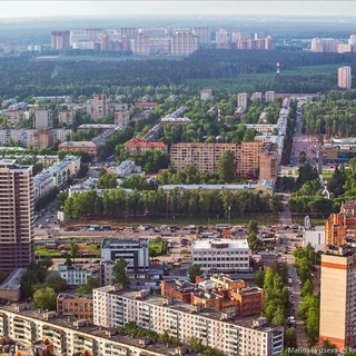 Аватар Балашиха | Новости | Происшествия