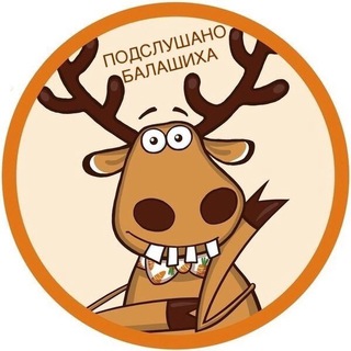 Аватар Telegram-канала Новости Балашиха 📍
