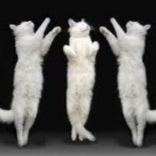 Аватар Telegram-канала Балетный Петербург: экскурсии и прогулки с Ольгой Федорченко