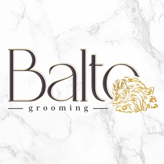 Аватар Telegram-канала “Balto” Зоосалон