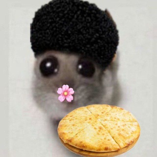 Аватар Telegram-канала АРХИВ|Банка маслят (масленок)