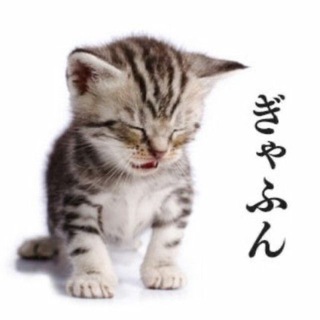 Аватар Telegram-канала барахолка Саратов/Энгельс