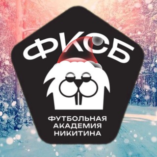 Аватар Telegram-канала Футбольная Академия Никитина