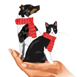 Аватар Telegram-канала Ветклиника Беланта