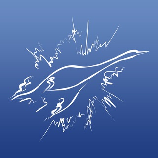 Аватар Институт биосенсорной психологии