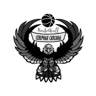 Аватар Telegram-канала Рельсы Шпалы | ПГУПС • Баскетбольный клуб • Северные Сапсаны