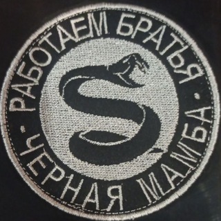 Аватар Telegram-канала ⚔️ Чёрная Мамба ⚔️
