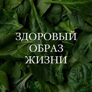 Аватар Telegram-канала Здоровый образ жизни