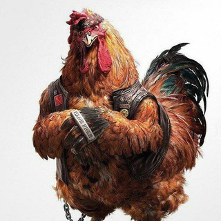 Аватар Telegram-канала 🐓Бройлерная // Москва // Ярославль // Иваново